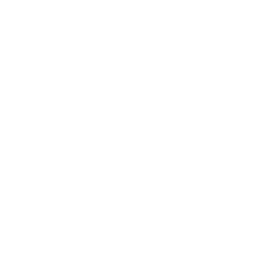 bed bugs pest control durban